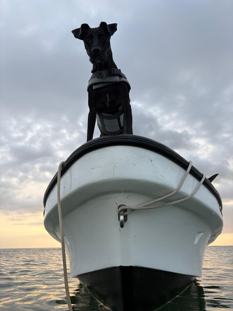 First Mate Tao